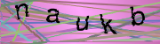 grafischer Zugangscode